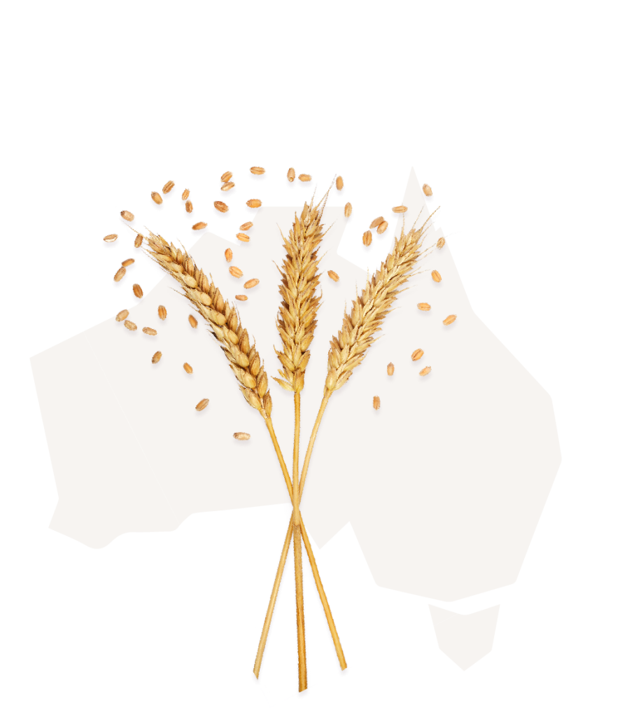 Hakubaku Aus Wheat Map